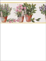 Herbs Border FK78457 by Norwall Wallpaper for sale at Wallpapers To Go