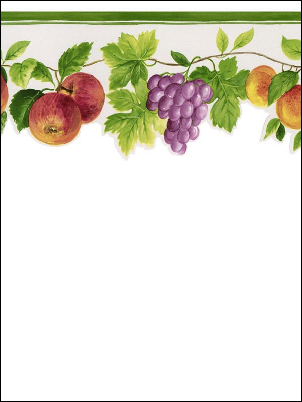 Fruit Border KT77917DC by Norwall Wallpaper for sale at Wallpapers To Go