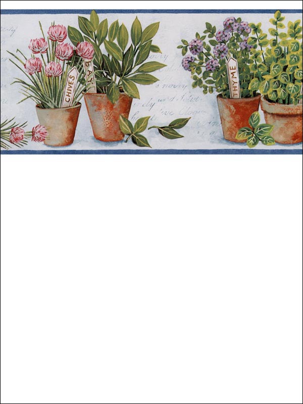 Herbs Border KV79531 by Norwall Wallpaper for sale at Wallpapers To Go