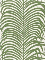 Zebra Palm Jungle Wallpaper 5006931 by Schumacher Wallpaper for sale at Wallpapers To Go