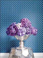 Room22462 by Thibaut Wallpaper for sale at Wallpapers To Go