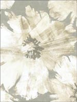 Curie Floral Gold Wallpaper AV50008 by Seabrook Wallpaper for sale at Wallpapers To Go