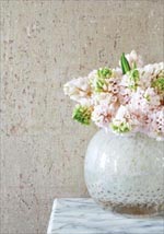 Room22934 by Thibaut Wallpaper for sale at Wallpapers To Go