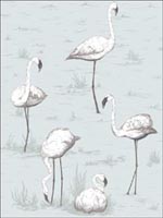 Flamingos Charcoal Aqua Wallpaper 958047 by Cole and Son Wallpaper for sale at Wallpapers To Go