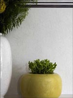 Room23702 by Cole and Son Wallpaper for sale at Wallpapers To Go