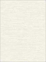 Metallic Grasscloth Look Textured Wallpaper OY32903 by Paper and Ink Wallpaper for sale at Wallpapers To Go