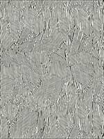 Avant Ivory Black Wallpaper GWP350018 by Grundworks Wallpaper for sale at Wallpapers To Go