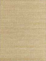 Metal Sisal White Gold Wallpaper SC0001WP88338 by Scalamandre Wallpaper for sale at Wallpapers To Go