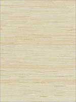 Textured Sisal White Sand Wallpaper SC0001WP88343 by Scalamandre Wallpaper for sale at Wallpapers To Go