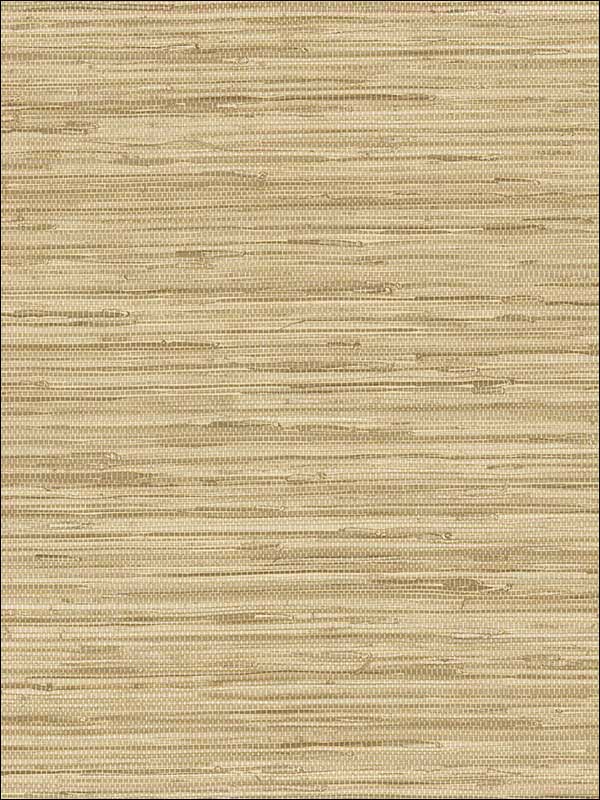 Grasscloth Wallpaper NT33704 by Patton Norwall Wallpaper for sale at Wallpapers To Go