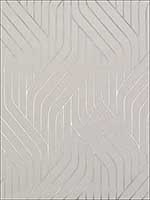 Ebb And Flow White Silver Wallpaper NW3516 by Antonina Vella Wallpaper for sale at Wallpapers To Go