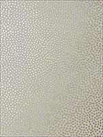 Davis Dot Metallic Gold on Pewter Wallpaper AT79164 by Anna French Wallpaper for sale at Wallpapers To Go