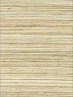 Changzhou Beige Grasscloth Wallpaper 273280009 by Kenneth James Wallpaper for sale at Wallpapers To Go