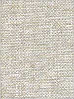 Kongur Silver Grasscloth Wallpaper 273280036 by Kenneth James Wallpaper for sale at Wallpapers To Go
