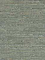 Grasscloth Green Silver Wallpaper W342130 by Kravet Wallpaper for sale at Wallpapers To Go