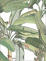 Polynesian Leaves Green Wallpaper MH36534 by Patton Norwall Wallpaper for sale at Wallpapers To Go
