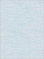 Agave Blue Grasscloth Wallpaper 282124283 by A Street Prints Wallpaper for sale at Wallpapers To Go