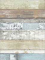 Beachwood Green Blue Sage Brown Cedar Wallpaper FH37555 by Patton Norwall Wallpaper for sale at Wallpapers To Go