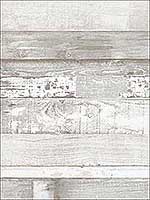 Beachwood Light Grey White Dove Dove White Wallpaper FH37558 by Patton Norwall Wallpaper for sale at Wallpapers To Go