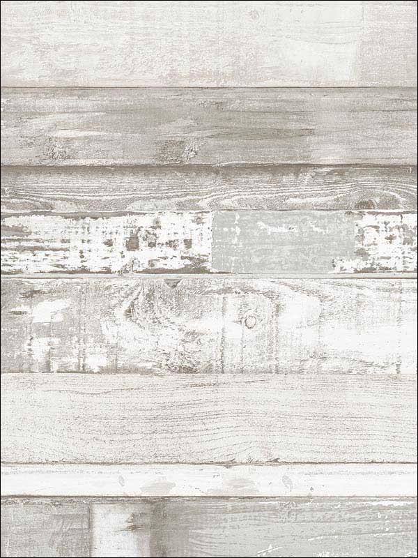 Beachwood Light Grey White Dove Dove White Wallpaper FH37558 by Patton Norwall Wallpaper for sale at Wallpapers To Go