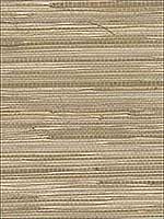 Bataan Wheat Grasscloth Wallpaper 282965621 by A Street Prints Wallpaper for sale at Wallpapers To Go