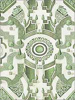 Topiary Leaf Green Wallpaper 1152005 by Cole and Son Wallpaper for sale at Wallpapers To Go