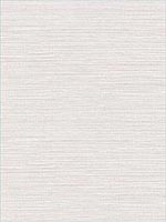 Vinyl Grasscloth Bone Wallpaper AW74510 by Collins and Company Wallpaper for sale at Wallpapers To Go