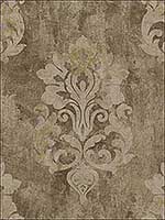 Neoclassic Damask Dark Brown Cream Wallpaper RM41206 by Casa Mia Wallpaper for sale at Wallpapers To Go