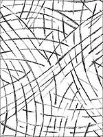 Willy Nilly Black Brushstrokes Wallpaper 290225506 by A Street Prints Wallpaper for sale at Wallpapers To Go