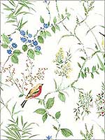 Imperial Garden Green Botanical Wallpaper 290424173 by Brewster Wallpaper for sale at Wallpapers To Go