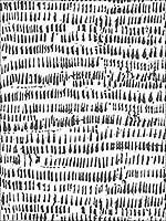 Runes Black Brushstrokes Wallpaper 290424354 by Brewster Wallpaper for sale at Wallpapers To Go