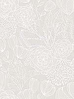 Alannah Bone Botanical Wallpaper 290325858 by A Street Prints Wallpaper for sale at Wallpapers To Go