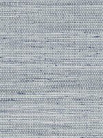 Luxe Weave Skylight Wallpaper LN20210 by NextWall Wallpaper for sale at Wallpapers To Go