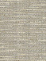 Bay Ridge Neutral Faux Grasscloth Wallpaper 29848018 by Warner Wallpaper for sale at Wallpapers To Go