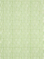 Gogo Parrot Green Fabric F920800 by Thibaut Fabrics for sale at Wallpapers To Go