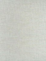 Cascade Celadon Fabric W75257 by Thibaut Fabrics for sale at Wallpapers To Go