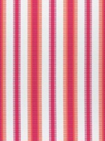 Samba Stripe Magenta and Coral Fabric W74666 by Thibaut Fabrics for sale at Wallpapers To Go