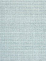 Avery Celadon Fabric W789133 by Thibaut Fabrics for sale at Wallpapers To Go