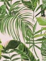 Palmera Light Pink Wallpaper WLD53103W by OhPopsi Wallpaper for sale at Wallpapers To Go