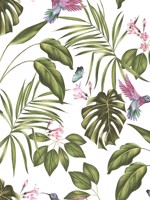 Hummingbird White Wallpaper WLD53114W by OhPopsi Wallpaper for sale at Wallpapers To Go