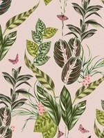 Spirit Light Pink Wallpaper WLD53121W by OhPopsi Wallpaper for sale at Wallpapers To Go