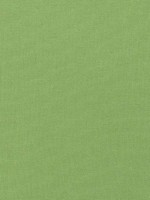 Palisade Linen Grass Fabric FWW7653 by Thibaut Fabrics for sale at Wallpapers To Go