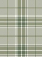 Sala Green Plaid Wallpaper WTG-246209 by Advantage Wallpaper for sale at Wallpapers To Go