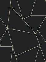 Nazca Black and Gold Wallpaper WTG-254153 by Antonina Vella Wallpaper for sale at Wallpapers To Go