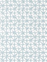Soren Seaglass Fabric WTG-255115 by Thibaut Fabrics for sale at Wallpapers To Go