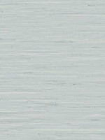 Marion Faux Arrowroot Pale Sky Wallpaper WTG-256118 by Dupont Wallpaper for sale at Wallpapers To Go