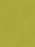 Japan Citrus Wallpaper WTG-260632 by Andrew Martin Wallpaper for sale at Wallpapers To Go