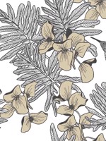 Hummingbird Jet Wallpaper WTG-261071 by Maxwell Wallpaper for sale at Wallpapers To Go