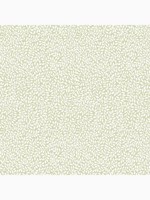 Little Vines Hedgerow Wallpaper WTG-262873 by Laura Ashley Wallpaper for sale at Wallpapers To Go