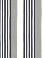 Riviera Stripe Sterling and Charcoal Fabric WTG-264021 by Thibaut Fabrics for sale at Wallpapers To Go